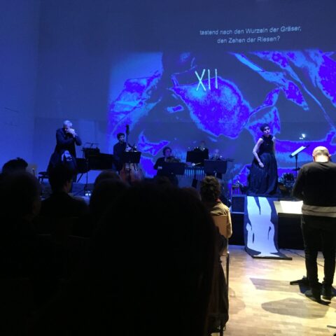 The Mark on the Wall – Festival KlangHaus Ulm 2018